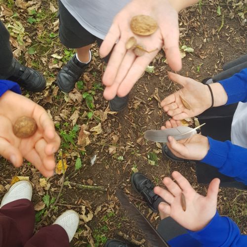 Collecting natural resources to use in art.