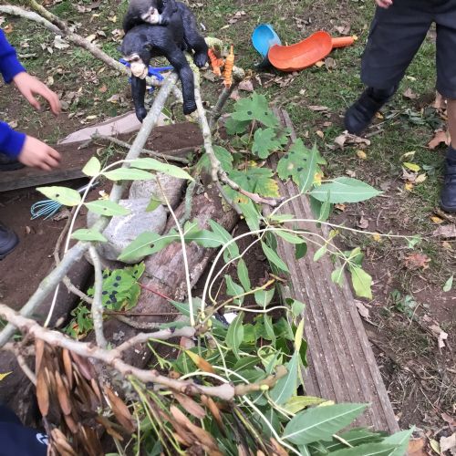 Creating an animal habitat