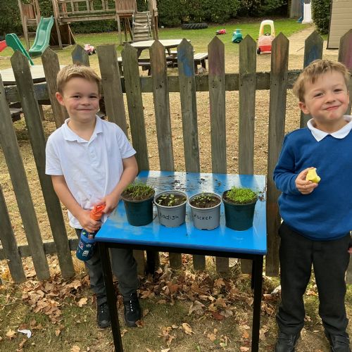 Gardening crew - excellent job!